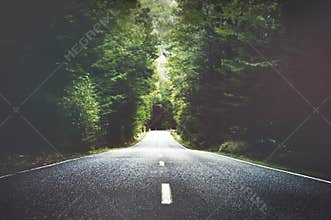 Summer Country Road With Trees Beside Concept