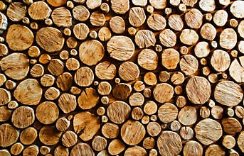 Wood log backround