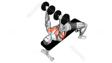 Video guides exercising. Dumbbell bench press lying. second Emb