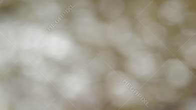 Blurred, bokeh lights background - 1080p loop.