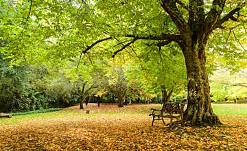 Park in spring