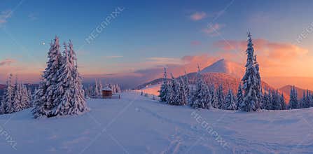 Landscape