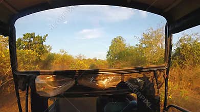 YALA NATIONAL PARK, SRI LANKA - MARCH 2014: View from moving Jeep during safari in Yala National Park.