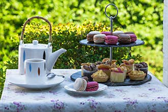 Afternoon tea in the garden