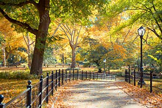 Central Park NY