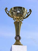 Winner