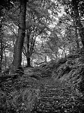 One path Up