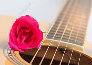 Acoustic guitar