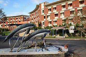 Sea creatures at Heritance Negombo