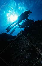Diving the reef