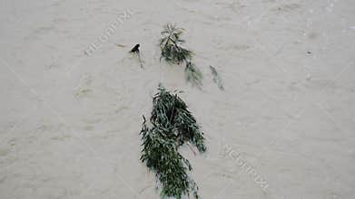 Flood waters after heavy rain in Brisbane, Queensland.