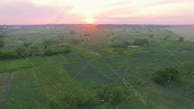 Fields with various types of agriculture, aerial shot
