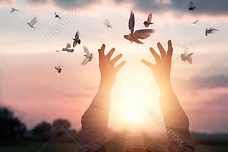 Woman praying and free the birds to nature on sunset background