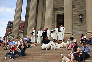 Blessing Of The Dogs