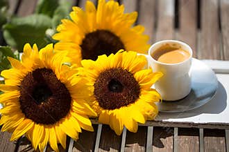 Cup of coffee, with sunflowers
