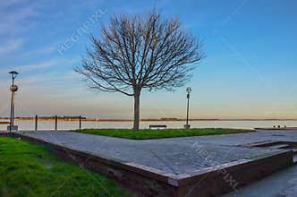 Sunset, seaside, serenity, single tree, mood, water, sky