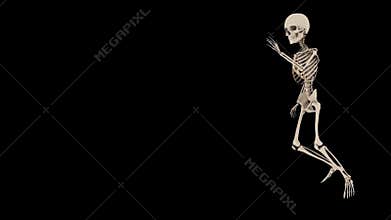 Funny Skeleton Hip Hop Dance