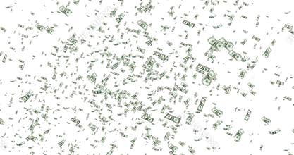 Digital dollars flying in vortex on white background with fade out, loop seamless. 4K and 1080 resolution