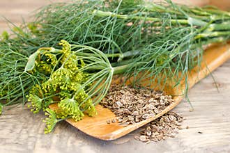 Dill and seeds