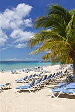 Beach Caribbean