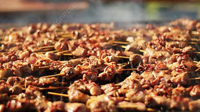 Barbecue grilling shish kebabs