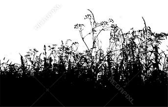 Grass silhouette