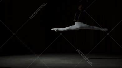 Ballet Dancer Posing On Stage