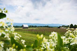 Scenic Landscape of Elkton, Virginia around Shenandoah National