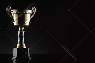 Big award winning trophy in black background
