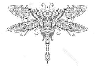 Doodles design of dragonfly for tattoo, design element, T-Shirt graphic and adult coloring book pages - Stock