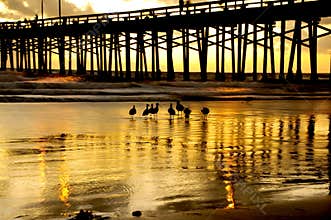 Newport beach