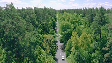 Transport logistics truck drive forest road highway nature