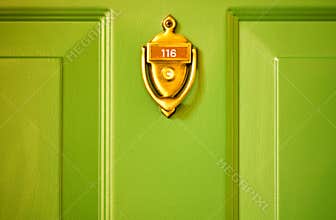 Brass Knocker Green Door