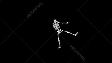 Skeleton dancing - Halloween concept