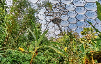 A planted landscape in the Mediterranean Biome glasshouse of The Eden Project