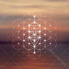 Flower of life sacred geometry illustration with intelocking circles and light dots in front of photographic background. Hipster