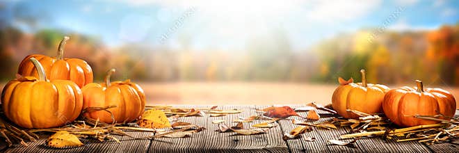 Thanksgiving Pumpkins And Leaves On Rustic Wooden Table With Sunlight