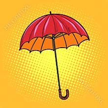 Red umbrella. autumn accessory