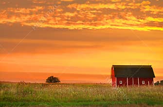Farm landscape