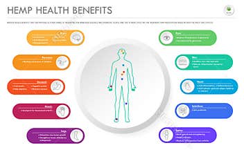 Hemp Health Benefits horizontal business infographic