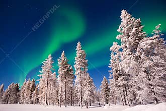 Northern lights, Aurora Borealis in Lapland Finland