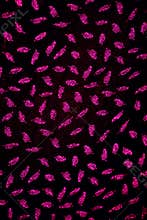 Aesthetic wallpaper background texture web design graphics