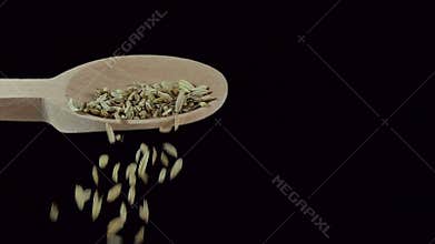 One spoon of fennel seeds.Spices and food ingredients. slow motion