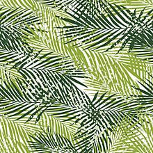 Exotic fern leaves seamless pattern on white background. Tropical palm leaf wallpaper