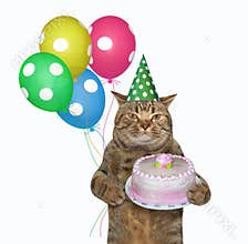 Cat celebrates his birthday 2