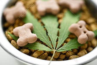 CBD food for Dogs Wellness, Natural supplements for animals and pets with medicine treats like bone. Legal weed products and