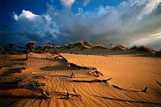 Desert sunset