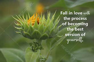 Inspirational quote - Fall in love with the process of becoming the best version of yourself. With young green sunflower plant.