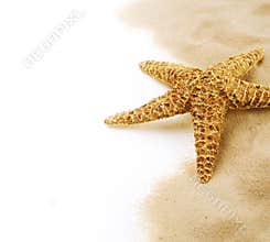 Starfish