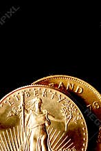 Gold Coins